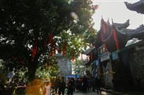 《游客如织》