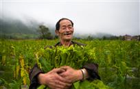 拥抱丰收