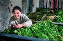 掩不住的喜悦