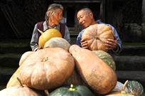 甜蜜老人