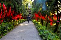 山中祈福路