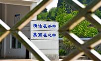标语在眼中