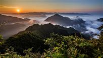 美  景