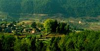 青山中的家园