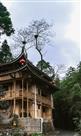 角楼风采