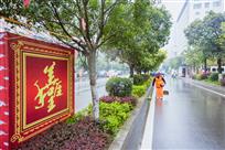 雨中的靓丽