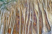 千姿百态亿万年