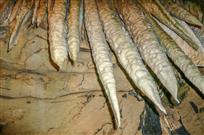 天造地设神奇物