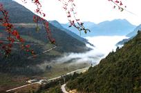 高山平雾