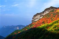 虎啸山丘