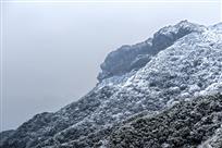 雪山卧虎