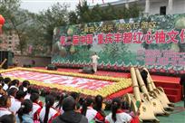 红心柚文化节