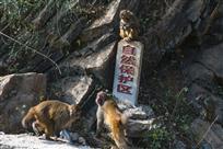 保护区2