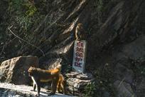 保护区