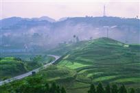 绿色乡村