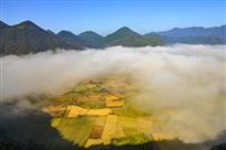 太平乡村秋韵
