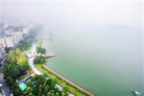 滨江路绿化带
