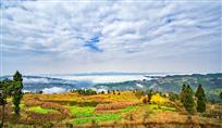 《百集山深秋美景》