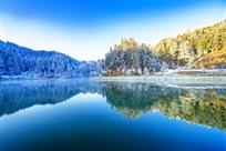 《凤凰湖冬景》