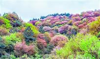 《七彩雪玉山》