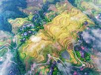 《长坡秋景》