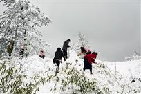 雪地童真