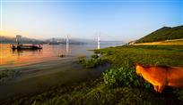《清晨美景》