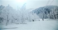 南天湖雪景