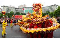 虎踞龙盘