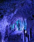 大雪压靑松