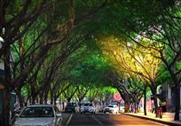 丰都最美街道