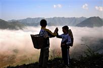 风景这边独好