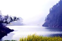 龙河湿地