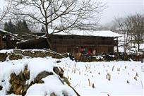 雪中人家