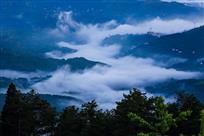 雾龙绕峡谷