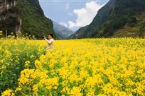 与花合影
