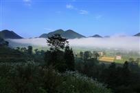 青山玉带