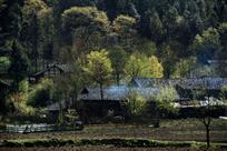 乡村美景