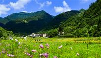 生态绿色家园