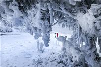 冰雪南天湖
