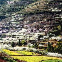 山乡美景
