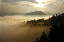 太平晨曦