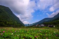 如画风景
