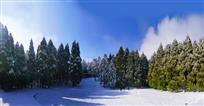 林场雪景