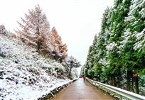 《雪玉山初雪》