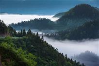 《云雾漫仙山》