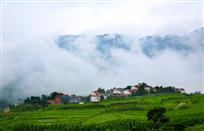 山乡新雨后