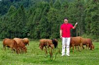 引吭高歌颂太平