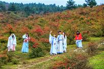 《深情似火》