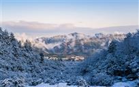 《雪后美景